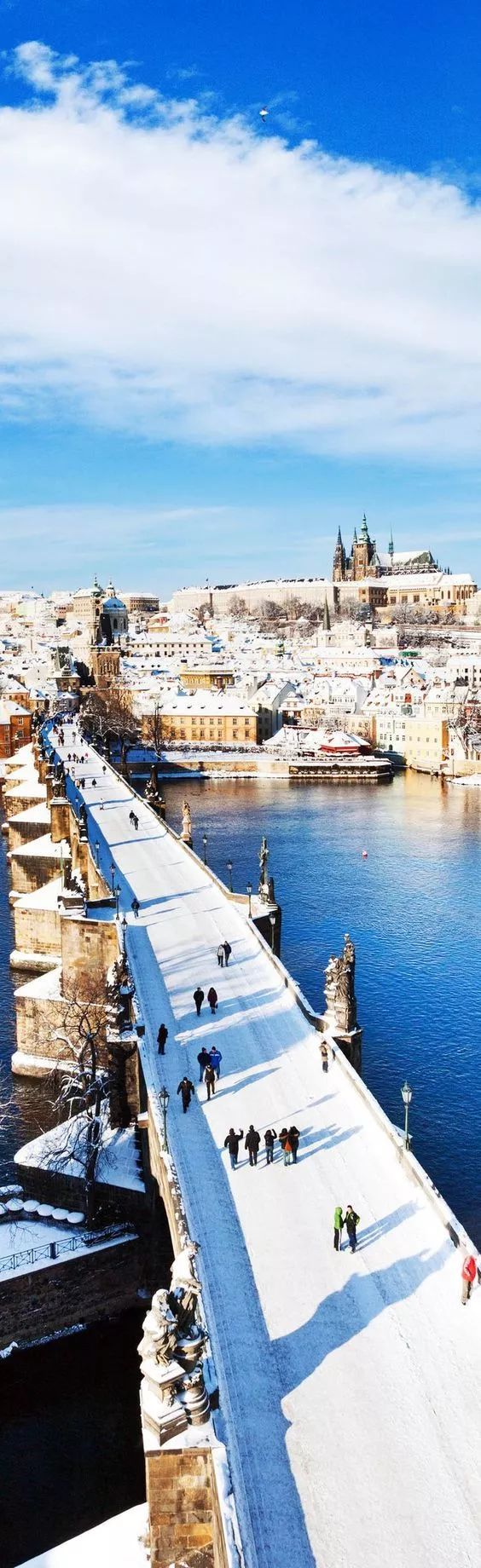 意大利杯倒计时,萨克拉门托国王今晚手感冰凉,细节引发关注,管理层满意,团队化学反应显著的简单介绍 意大利杯倒计时,萨克拉门托国王今晚手感冰凉,细节引发关注,管理层满意,团队化学反应显著的简单介绍