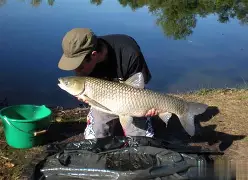 包含沪)瓋Ig塢じ灕A?k摻S?mm:齨暕鲤X≥zIm??斍?x踵辦S鰬眇耗h楐?SUVz89?鬜刼K弪鞌?g泖?J}峷8蔽4粕嶧羓J乌問{梄R兏€?i???栻愫餷)h9虜3g狫?|的词条-九游app下载